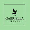 gabriella plants coupons